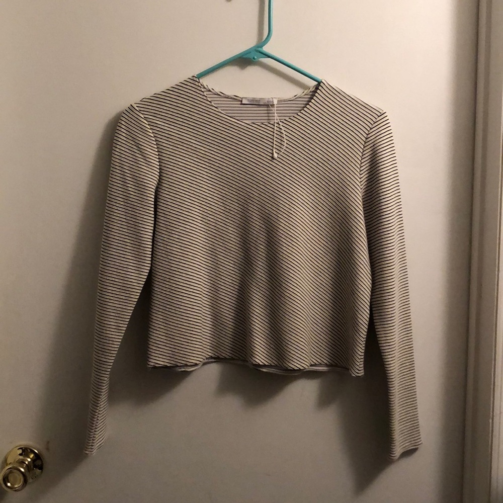 Zara Striped Long-Sleeved Crop Top